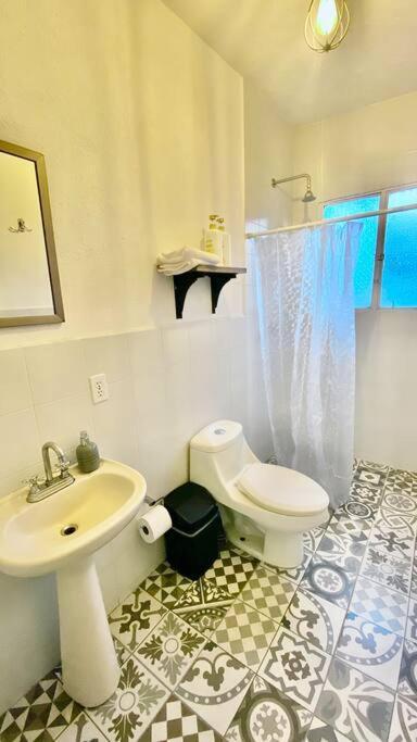 Amazing Cozy Apartment In Condesa Mexico-stad Buitenkant foto