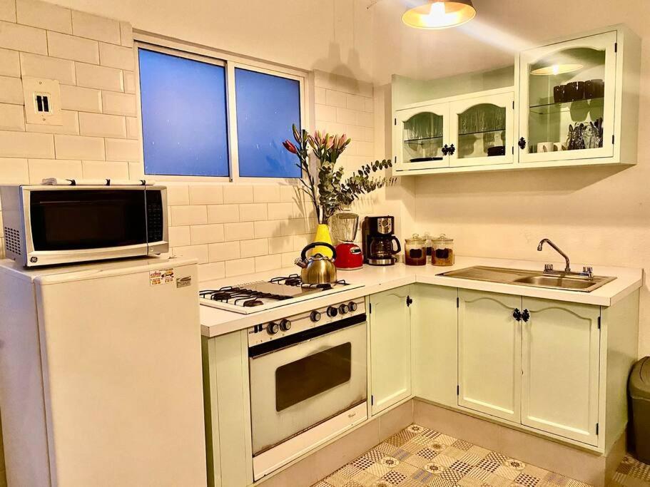 Amazing Cozy Apartment In Condesa Mexico-stad Buitenkant foto